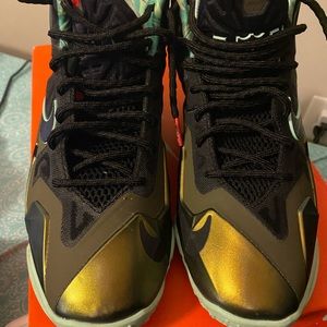 Size 6 Nike XI Lebron King's Pride Shoes